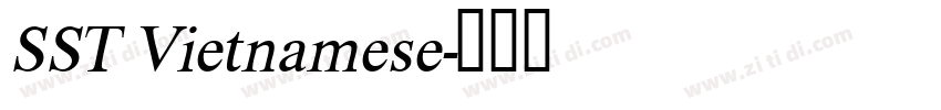 SST Vietnamese字体转换